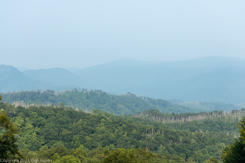 Great Smoky Mountains_002 - July 22, 2021