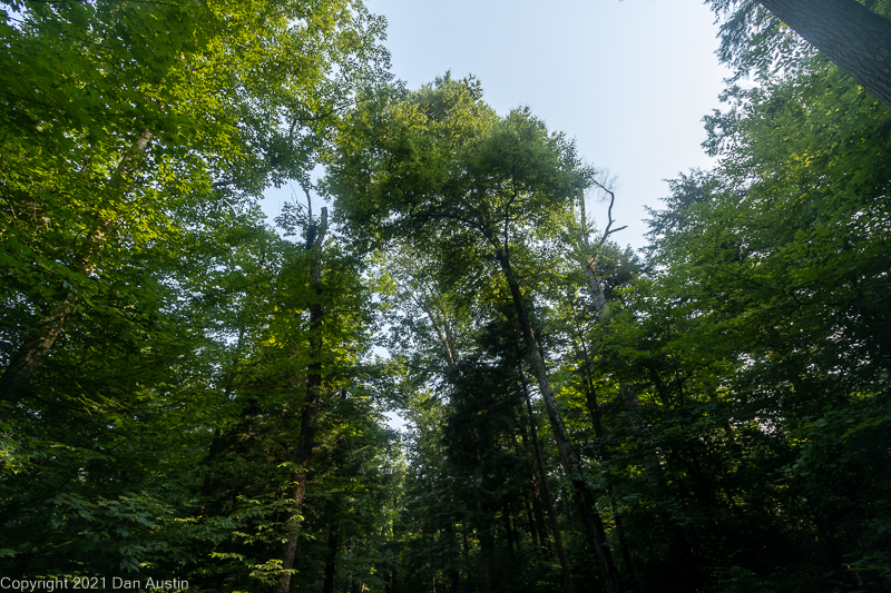 Great Smoky Mountains_007 - July 22, 2021