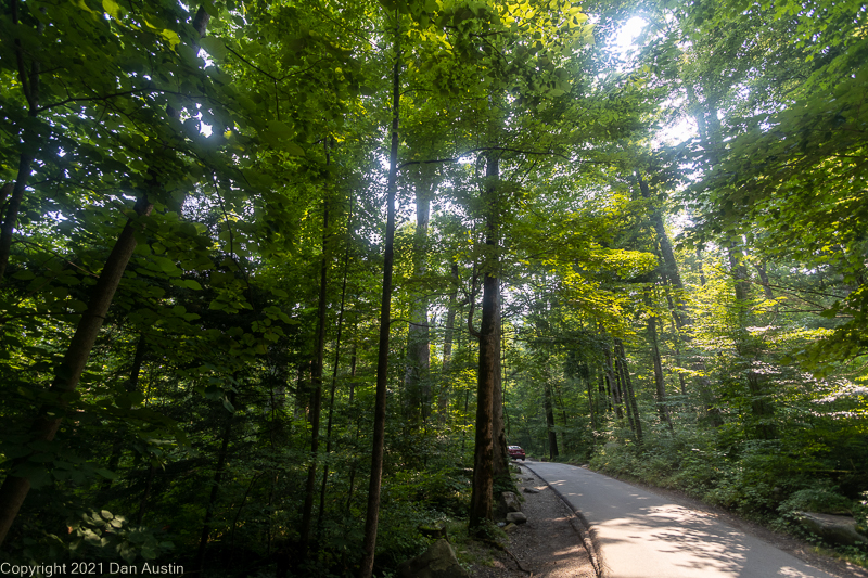 Great Smoky Mountains_008 - July 22, 2021