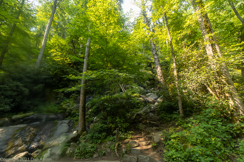 Great Smoky Mountains_010 - July 22, 2021