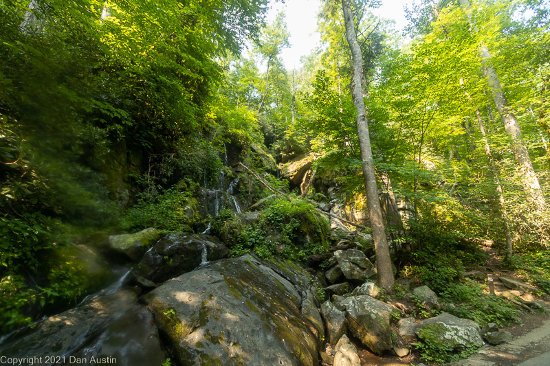 Great Smoky Mountains_011 - July 22, 2021