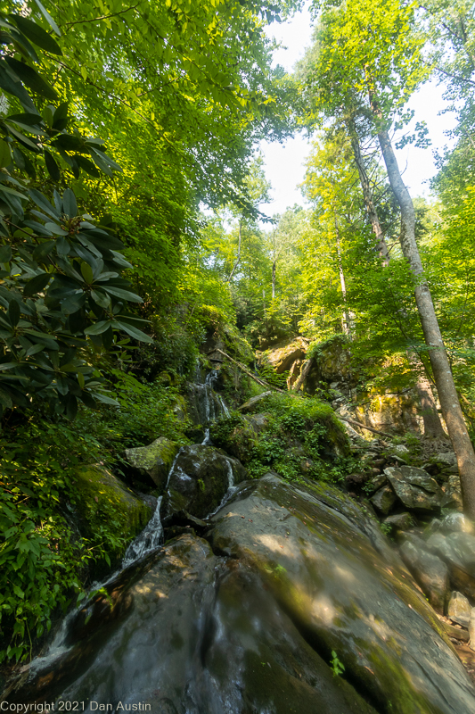 Great Smoky Mountains_012 - July 22, 2021