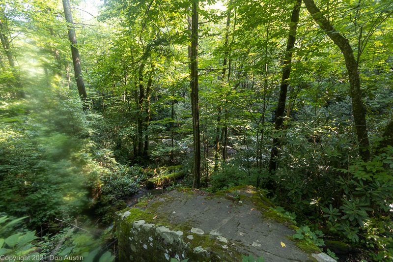 Great Smoky Mountains_013 - July 22, 2021