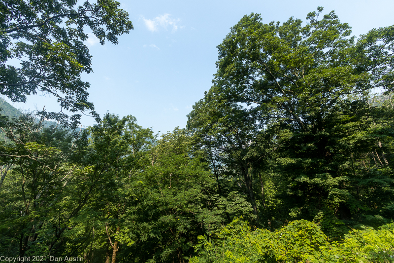 Great Smoky Mountains_018 - July 22, 2021