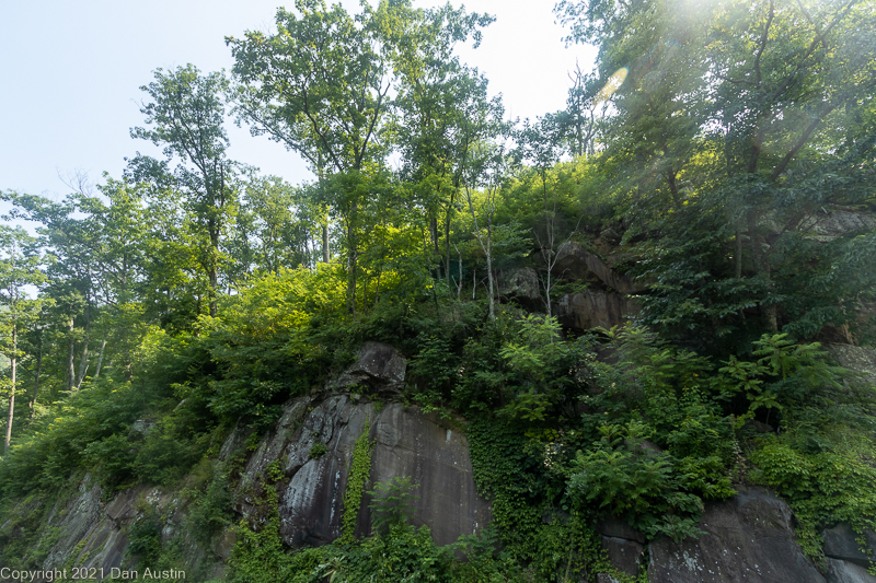 Great Smoky Mountains_019 - July 22, 2021