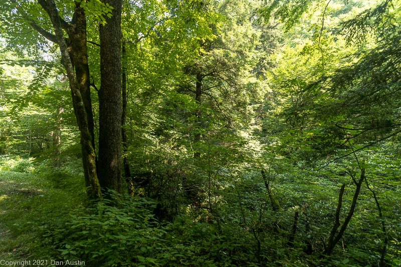 Great Smoky Mountains_021 - July 22, 2021