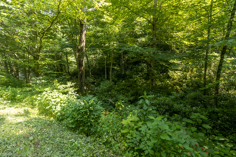 Great Smoky Mountains_022 - July 22, 2021