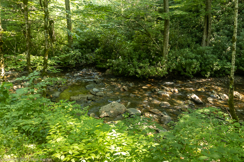 Great Smoky Mountains_023 - July 22, 2021