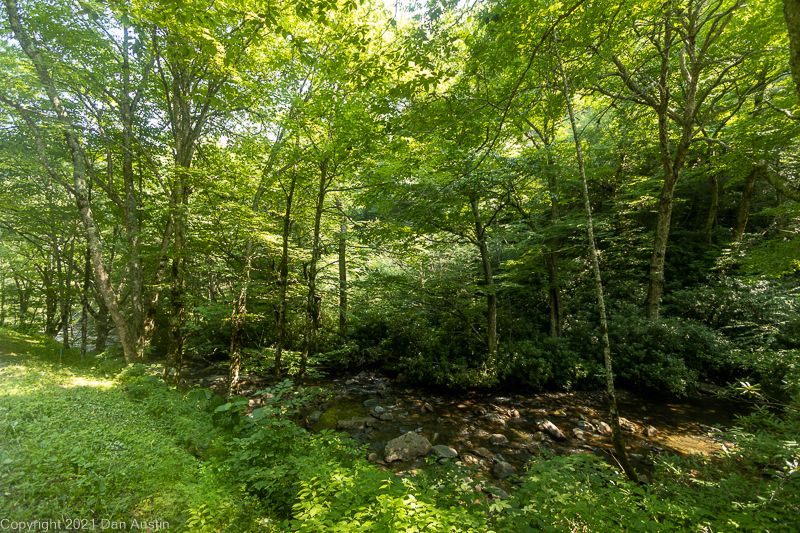 Great Smoky Mountains_024 - July 22, 2021