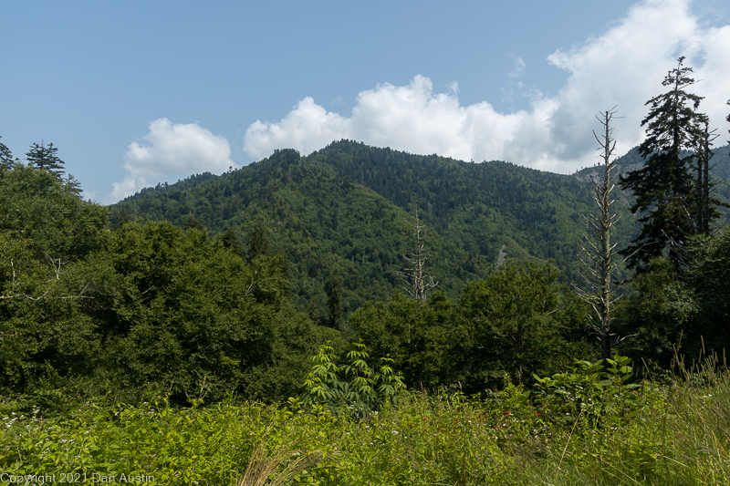 Great Smoky Mountains_025 - July 22, 2021