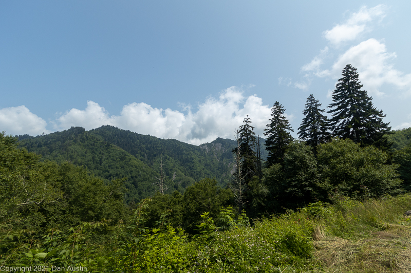 Great Smoky Mountains_026 - July 22, 2021