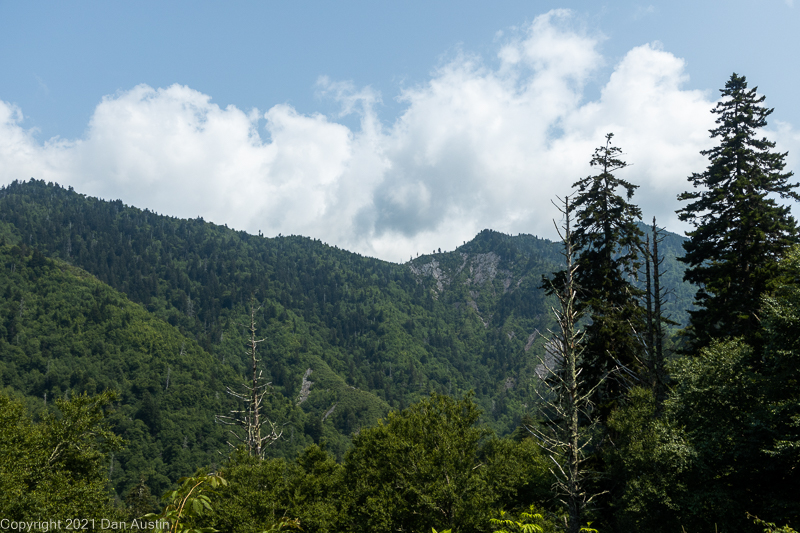 Great Smoky Mountains_027 - July 22, 2021