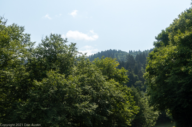 Great Smoky Mountains_028 - July 22, 2021