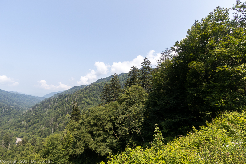 Great Smoky Mountains_030 - July 22, 2021