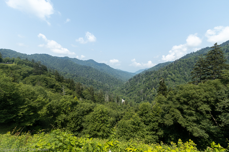 Great Smoky Mountains_031 - July 22, 2021