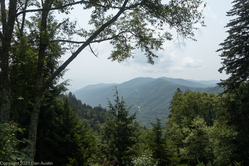 Great Smoky Mountains_032 - July 22, 2021