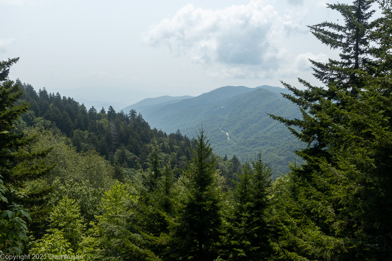 Great Smoky Mountains_033 - July 22, 2021