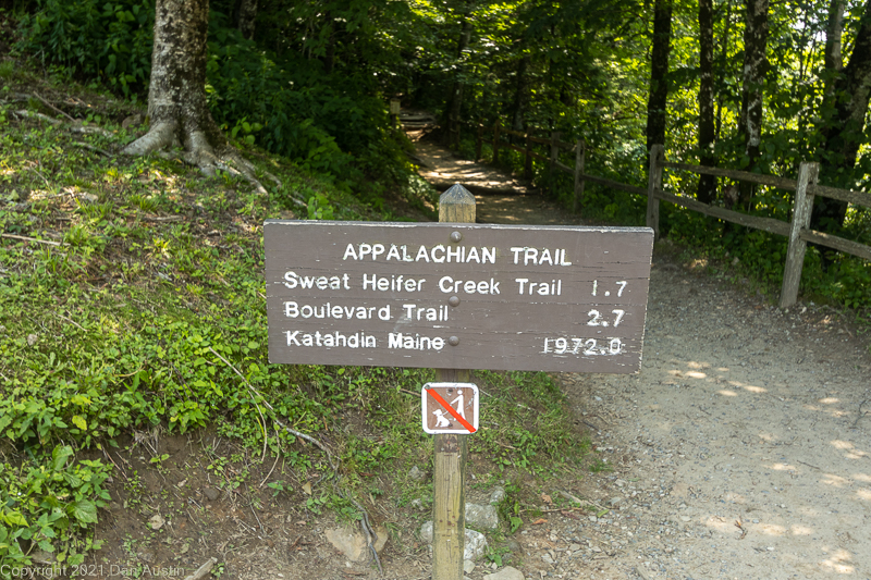 Great Smoky Mountains_041 - July 22, 2021