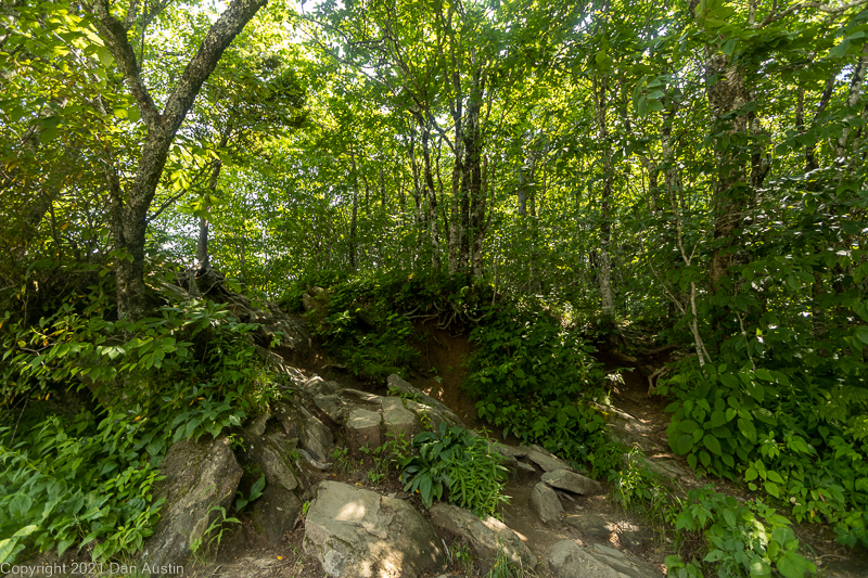 Great Smoky Mountains_043 - July 22, 2021