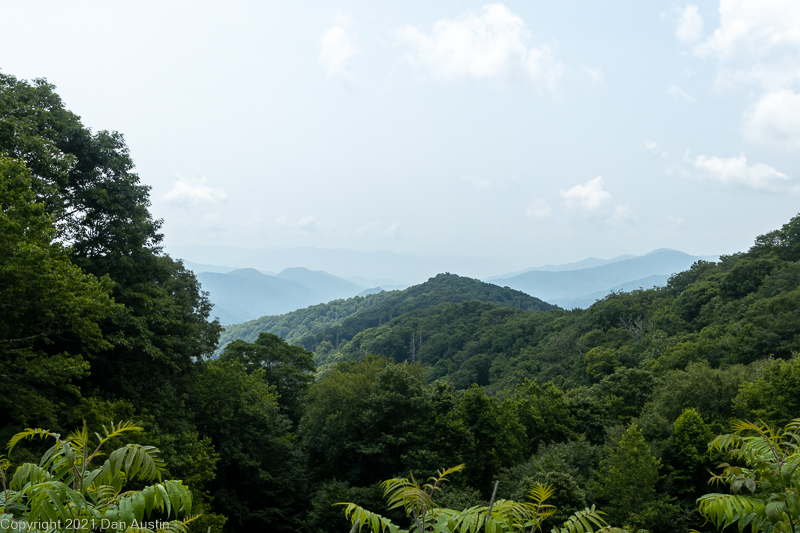 Great Smoky Mountains_045 - July 22, 2021