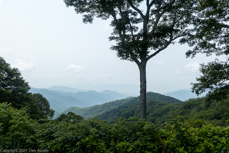 Great Smoky Mountains_046 - July 22, 2021