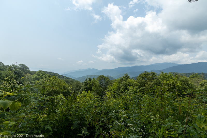 Great Smoky Mountains_049 - July 22, 2021