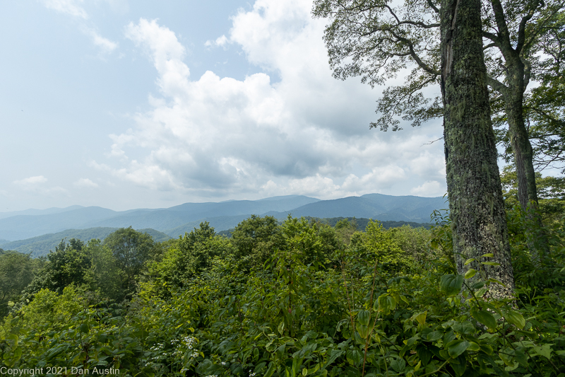 Great Smoky Mountains_050 - July 22, 2021