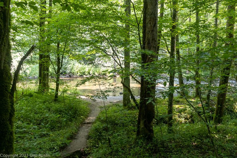 Great Smoky Mountains_053 - July 22, 2021