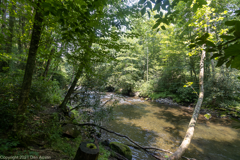 Great Smoky Mountains_055 - July 22, 2021