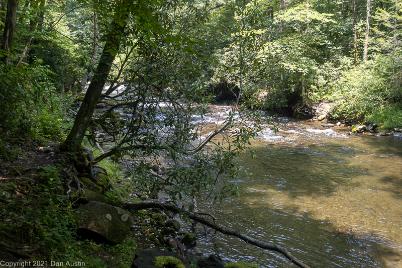 Great Smoky Mountains_056 - July 22, 2021