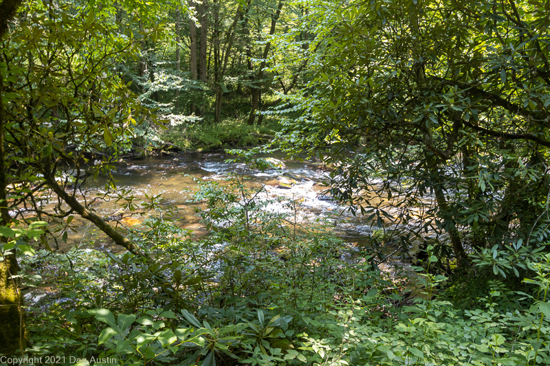 Great Smoky Mountains_057 - July 22, 2021